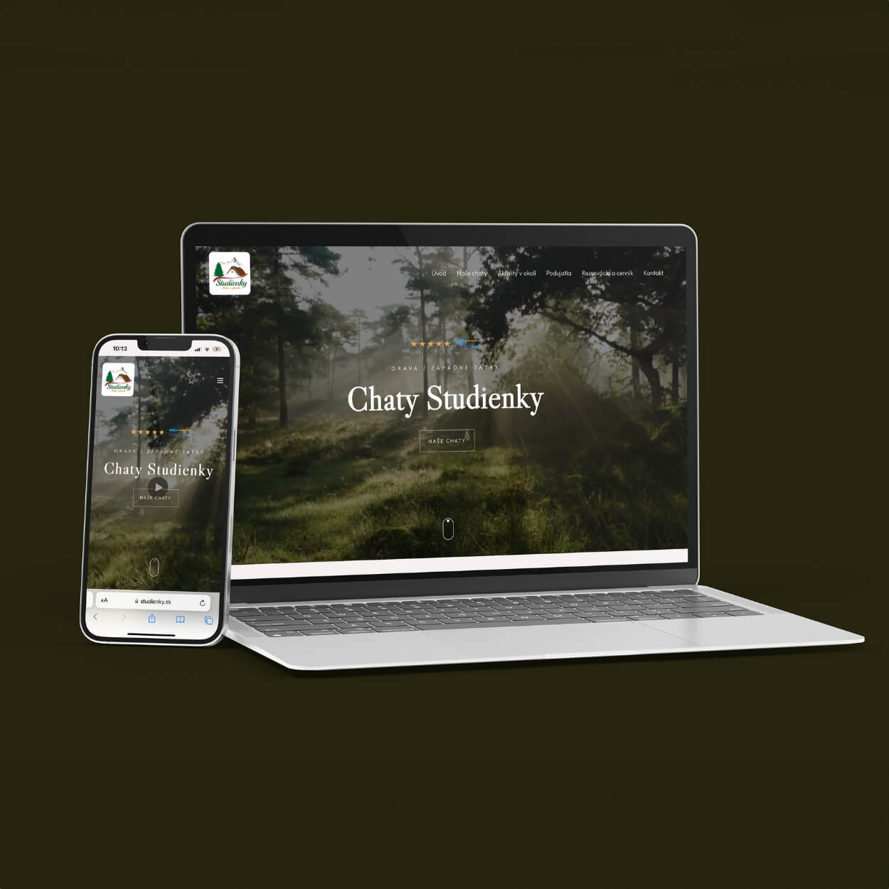case studies